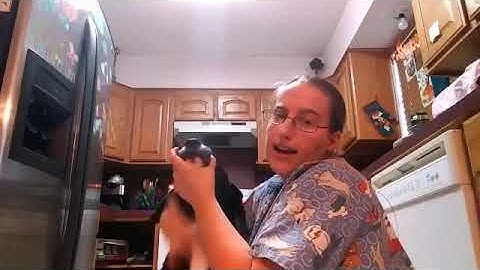 AVMA Video project VTHT 1301