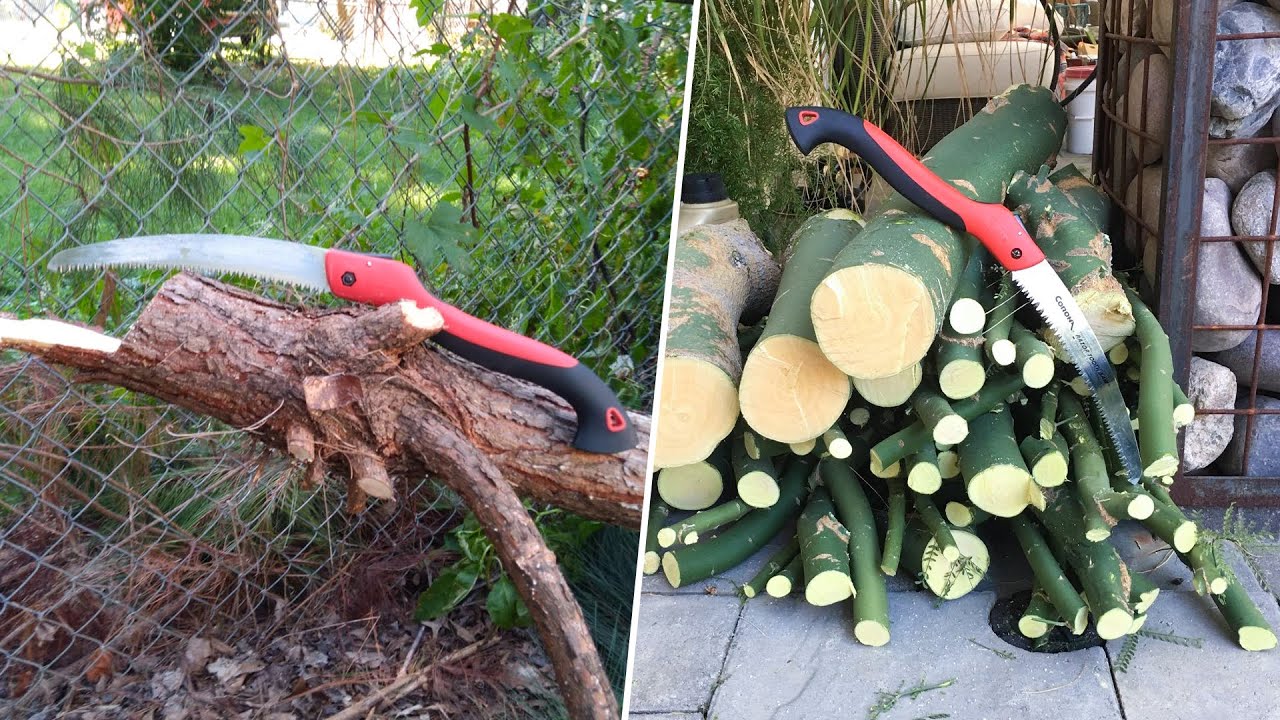 Best Hand Saw An Extensive Guide! YouTube