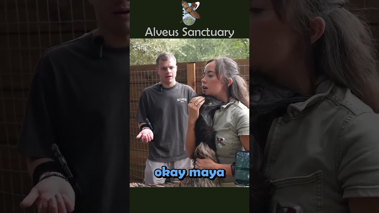 Jynxzi meets his first emu #jynxzi #alveus #mayahiga