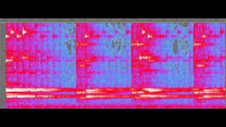 Spectrogram of clip from Hegira with bass beating