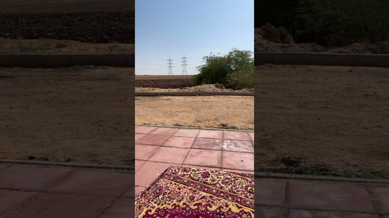 الشوقر دادي