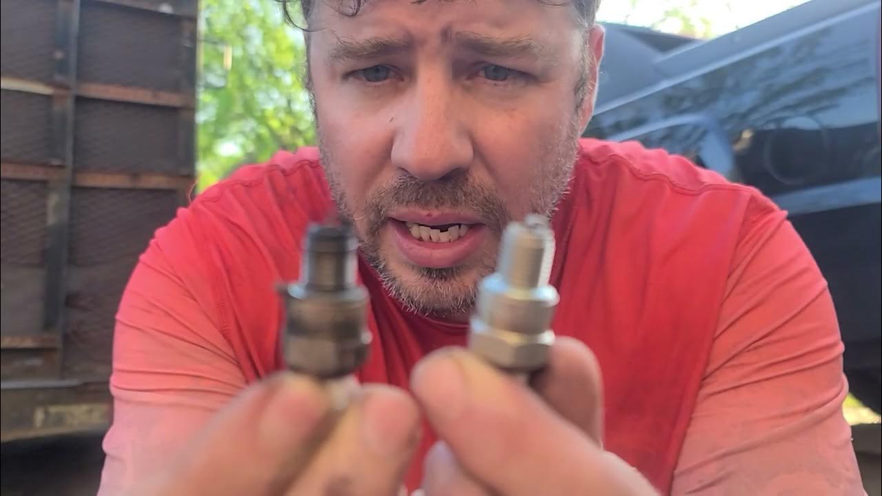 Stihl string trimmer spring maintenance. YouTube