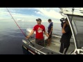 Fishing and adventure season 2 episode 2  lures v bait hauraki gulf