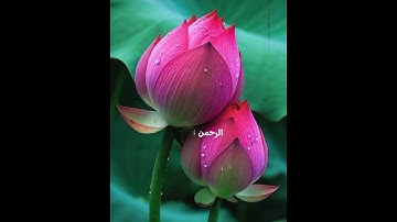 সূরা ফাতিহার ফজিলত ও ব্যাখ্যা | Surah Al-Fatiha Explanation | سورة الفاتحة