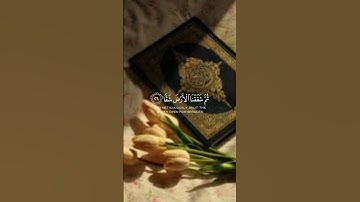 ماتيسر من سورة عبس يلقيها على مسامعكم القارئ رعد محمد الكردي