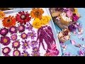 Shirley's Tips to Dry and Preserve Flowers