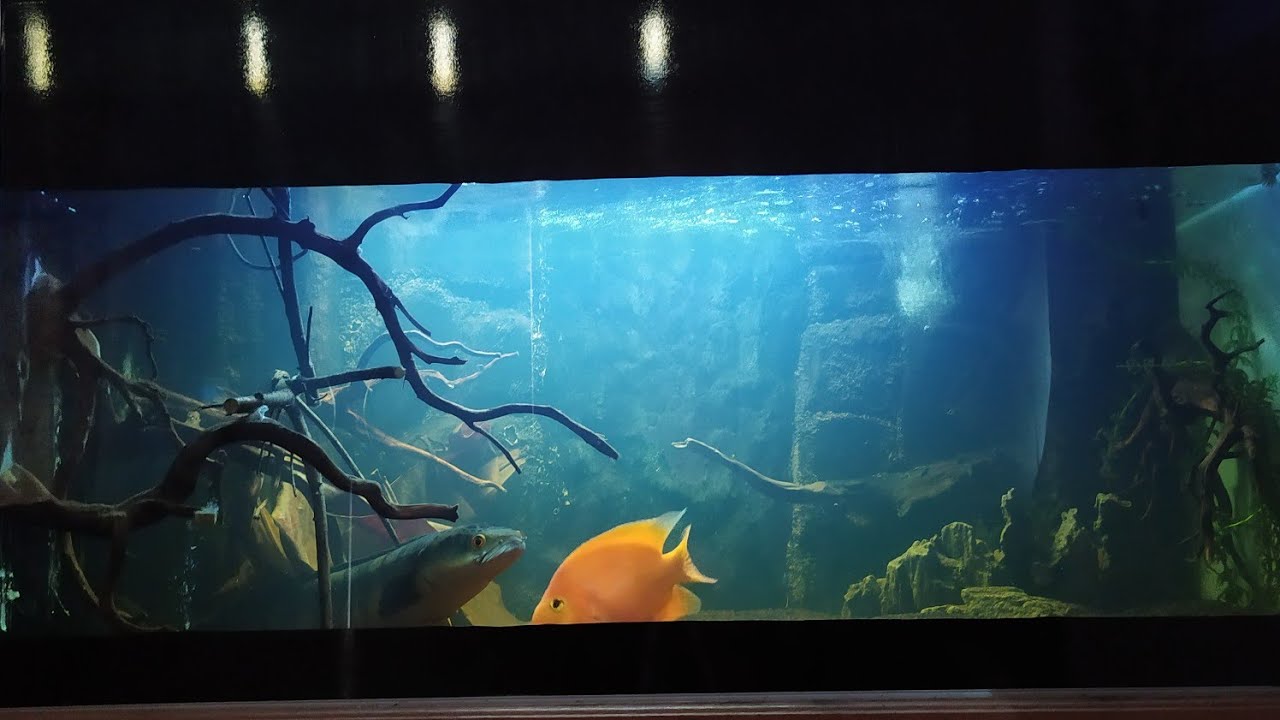3D background aquarium from sterofoam 