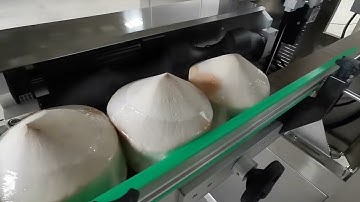 Automatic ready to drink coconut shrink sleeve wrapping machine