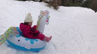 Little girl sleds down front yard in unicorn tube then flips forward and lands in the street
