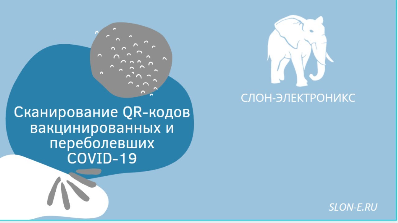 Слон электроникс. Слон Электроникс логотип. Слон Электроникс Екатеринбург.