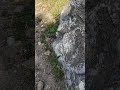 striped stone ░ #shorts #shortvideo #stone #geology