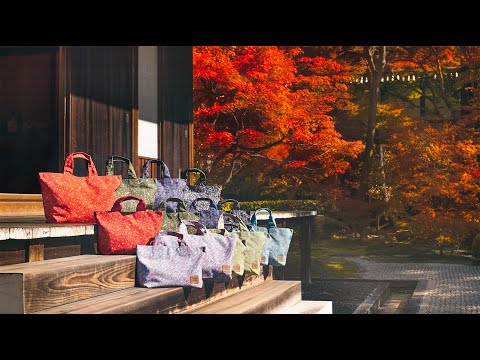 京都 泉涌寺 紅葉の絶景(4K)カエデ・エリシア京都 caede|L’ELISIR KYOTO-PV7 [KYOTO Sennyu-ji Autumn leaves 4K movie]