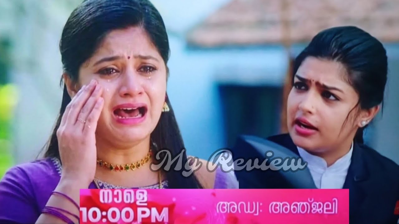 ശംഖുചക്രത്തിൽ എത്തി Harddisk മോഷ്ടിച്ച അനുവിന് കൊടുക്കേണ്ടത് കൊടുത്തു #AdvocateAnjali Tomorrow Promo