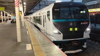 《特急湘南3号小田原行きに伴う送り込み回送》E257系2000番台NA-03編成が回送列車として大宮駅3番線に入線到着停車するシーン(回送----Ｍ)