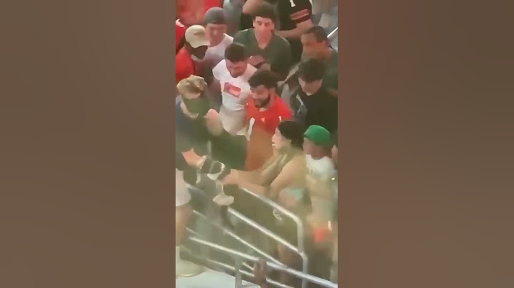 Футбольные фанаты спасают кота на стадионе