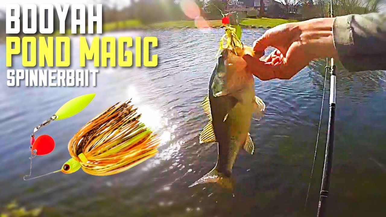 Booyah Pond Magic Spinnerbait--Prespawn Pond Bass 