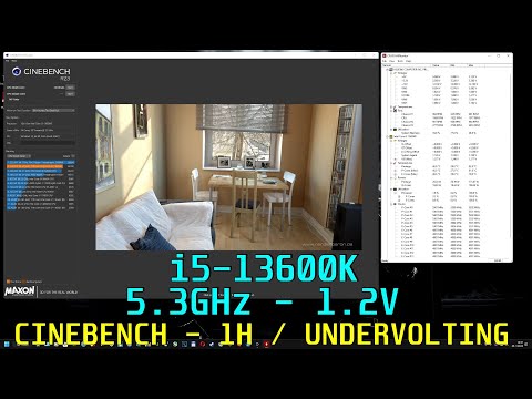 13600K: 5.3GHz - 1.2V - Cinebench R23 / 1Hour + Bios