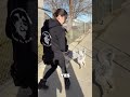 Building Engagement on Walks With Oreo