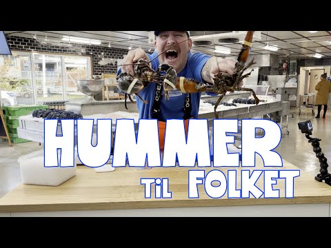 Riddim XXL 2025 | Live From Denver - Hosted By Spellthief Ft. Joust, Ophion, Roi*, Warlord.