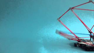 Strawbees fishlike creature