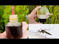 केवल ₹5 में बनाएं मच्छर मारने का लिक्विड घर पर सिर्फ एक चीज से|Homemade Mosquito Repellent Refill |