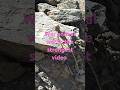 شاهد اقوى فيديو هوم Watch The Most Powerful Home Video On Hussein Al Abbadi S Channel 