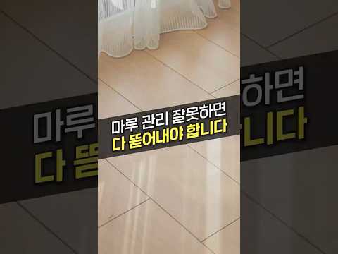 우리나라 아파트의 절반 이상이 <strong>마루</strong> 까는 이유