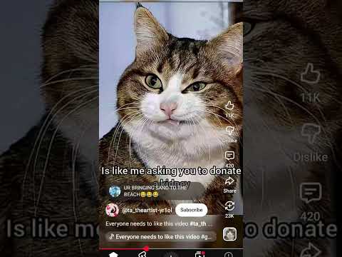#cat #funny #duet ..