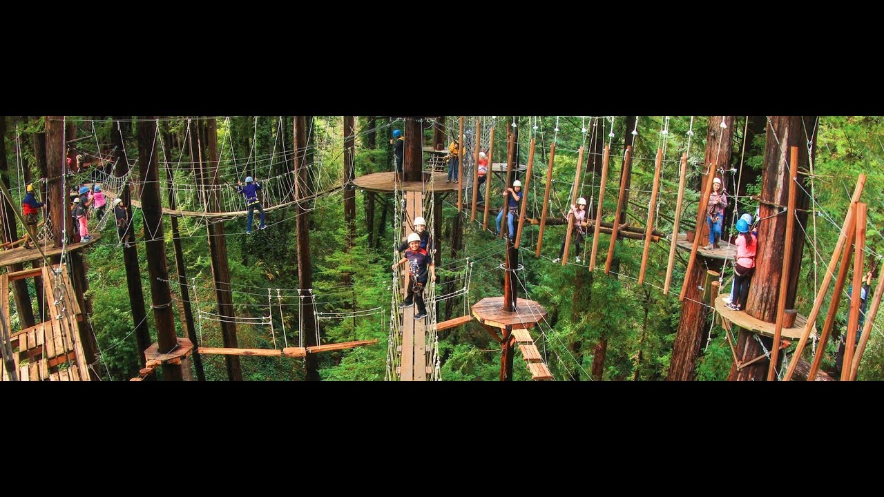 Sequoia Aerial Adventures at Mount Hermon