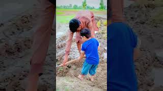 Hassan Apny Mamo Ki Help Krwaty Howe