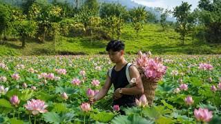 From lotus roots to lotus seeds, every part of the lotus plant has become a traditional food. screenshot 5