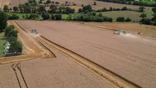 La moisson de blé filmée par drone / Doublé Claas Lexion