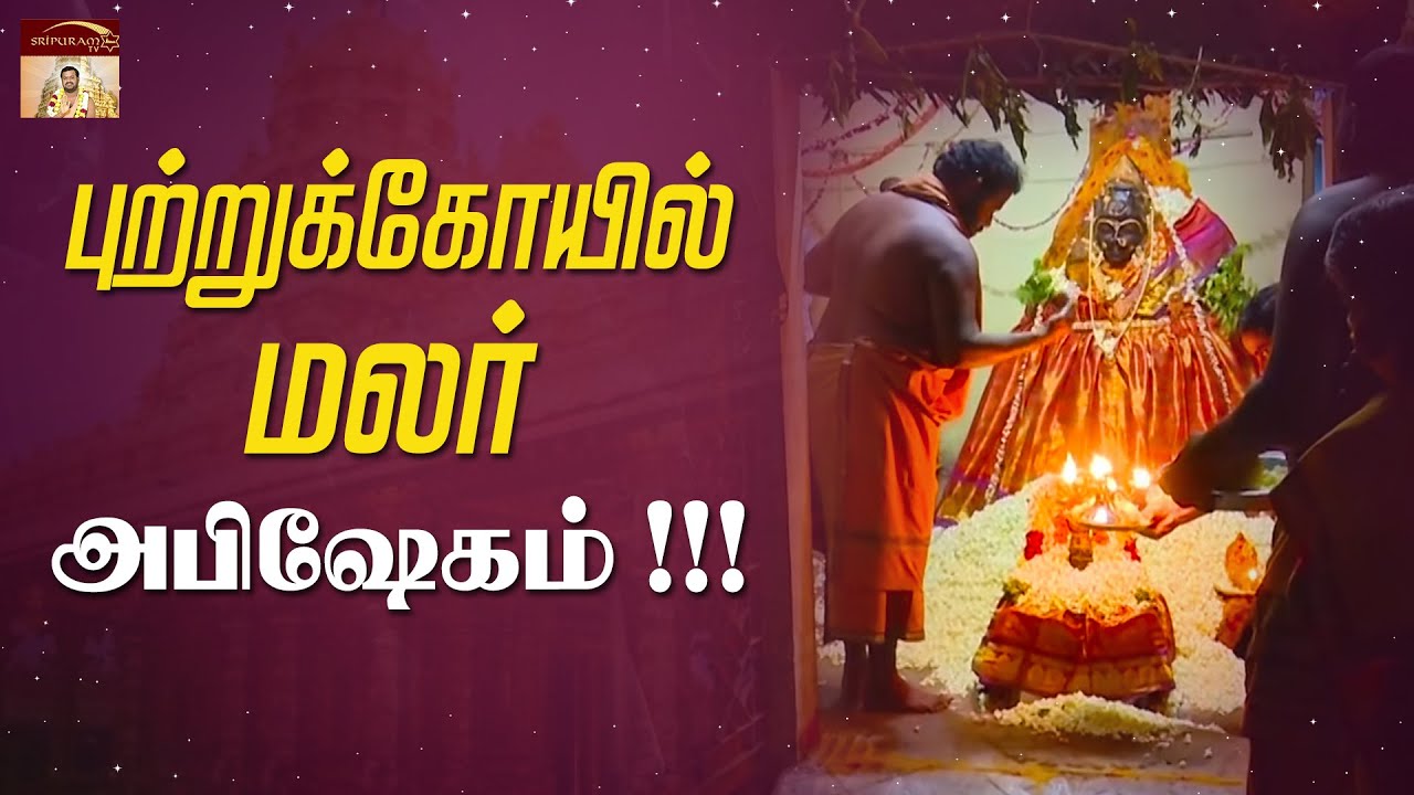 புற்றுக்கோயில்  மலர் அபிஷேகம்  ! ! !