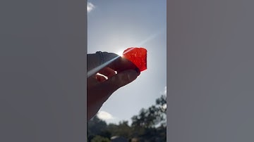 3D Cells:Flower Microscopy❤️#microcosm #flowers #nature #cell #garden #microscope #backyard #biology