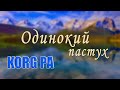 Джеймс Ласт - Одинокий Пастух на синтезаторе KORG