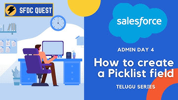 How to Create Picklist Field | User Creation | Field Dependency | Company Information | Day 4 | Sfdc