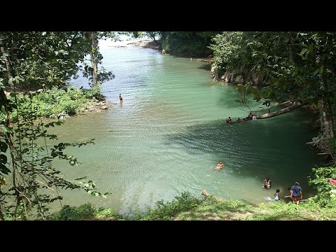 Trinidad Shark River Expedition