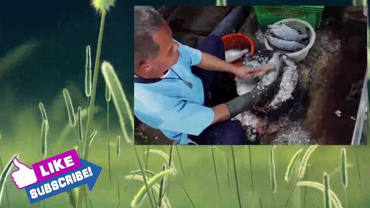 New Action Movies 2016 Full Movie English _ Best Thriller Movies English Hollywood