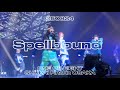 250824 ONE OR EIGHT / Spellbound @SHUKAI Final in OSAKA
