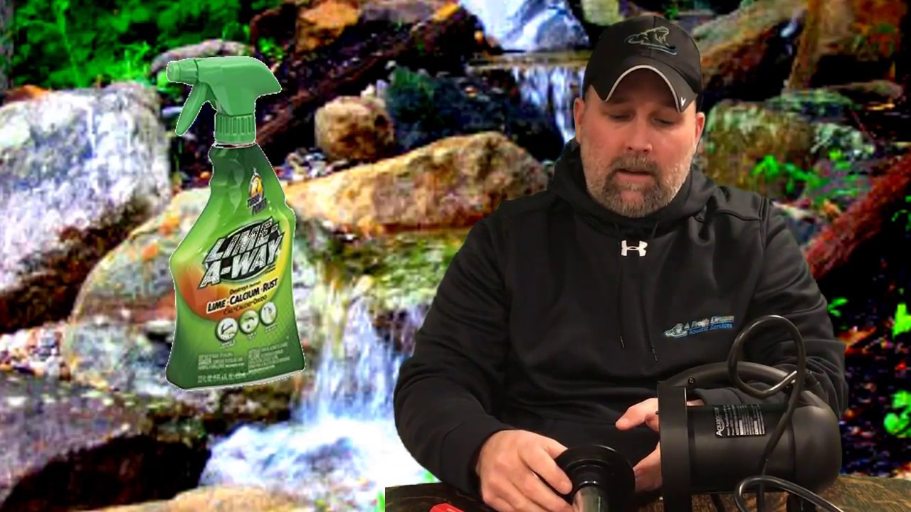 The Weekly Ribbit #34: Pond Pump Maintenance- How do you clean a pond pump?