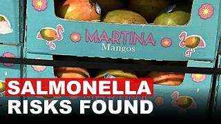 Walmart Recalls Martina Mangoes Over Potential Salmonella Contamination
