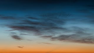 She Is Gone by David Harkins | Read by Ben W Smith