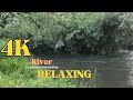 4k nature relaxing river sound   forest village river sound for calmness the4knature07