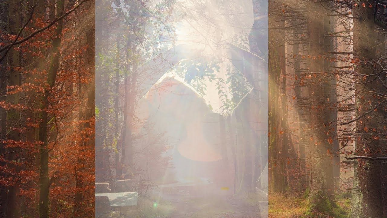 Creating Life After Lightning: My Personal Story of Healing & Growth ✨