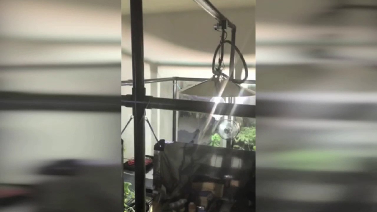 LightRail 3.5 Light Mover with Hydroponics