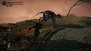 Player Profile ELDEN RING - Grafted Scion Rematch (Boss)