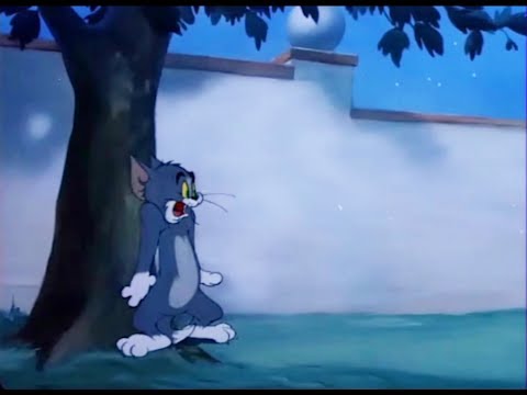 tom-and-jerry-english-episodes-26---solid-serenade