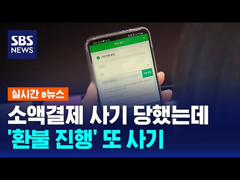 돈 언제 썼지?…무심코 '환불 진행' 눌렀다 날벼락 / SBS / 실시간e뉴스