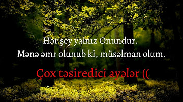 ən Nəml surəsi (89-93) Ahmed Khedr ㅣ سورة النمل ㅣ Surah An Naml