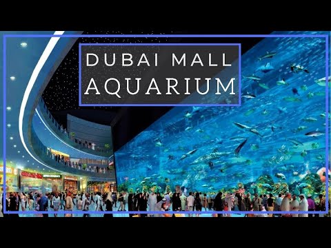 Fish Aquarium | Dubai Mall